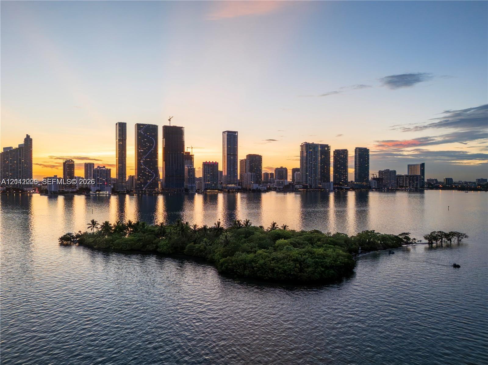 Aerial perspective featuring an island with mature vegetation surrounded by open water and a distant urban skyline