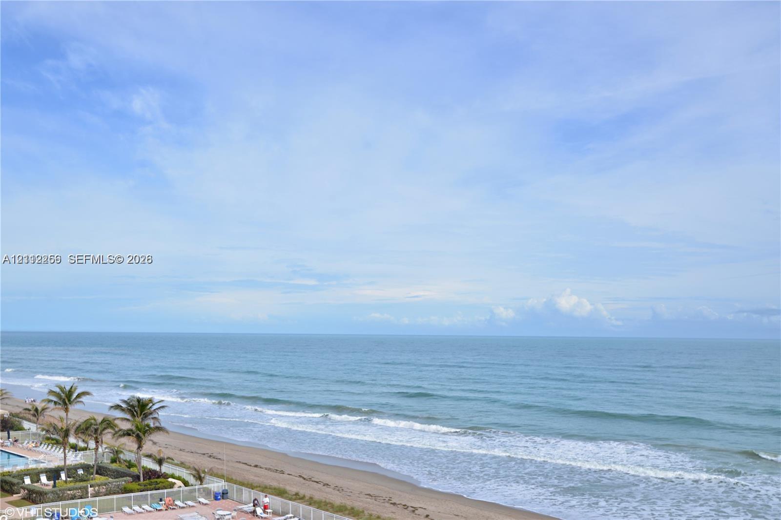 Oceanfront perspective featuring a sandy beach, rhythmic surf, and palm trees