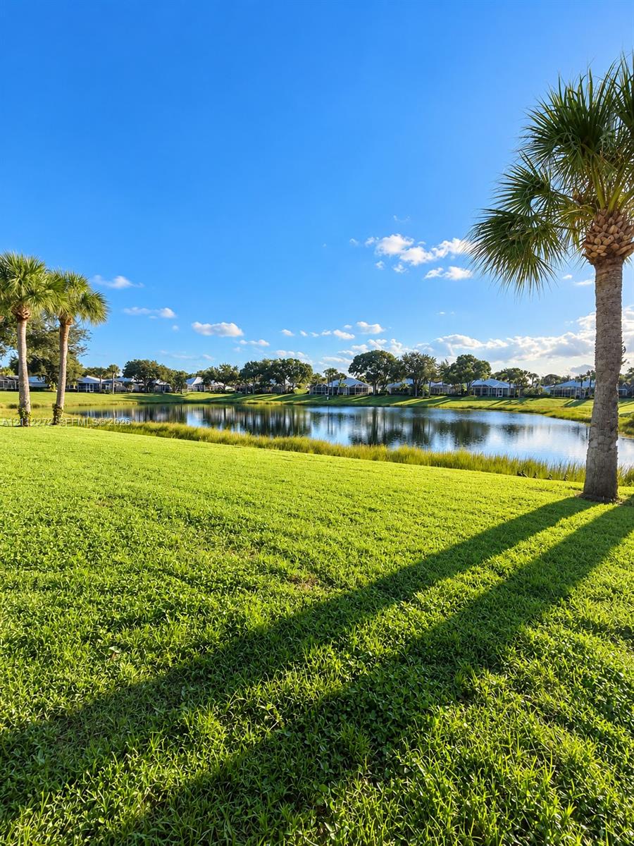 Expansive grassy lawn featuring mature palm trees and direct frontage to a tranquil pond