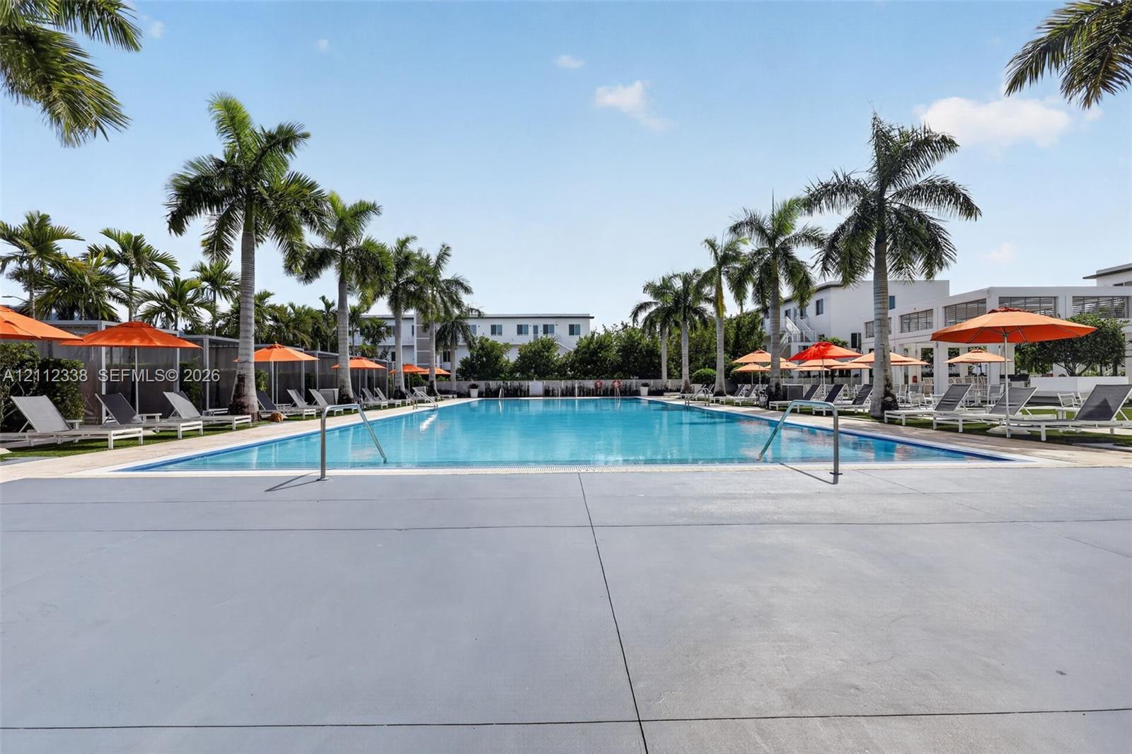 Swimming pool featuring a rectangular basin, concrete pool deck, and palm tree landscaping