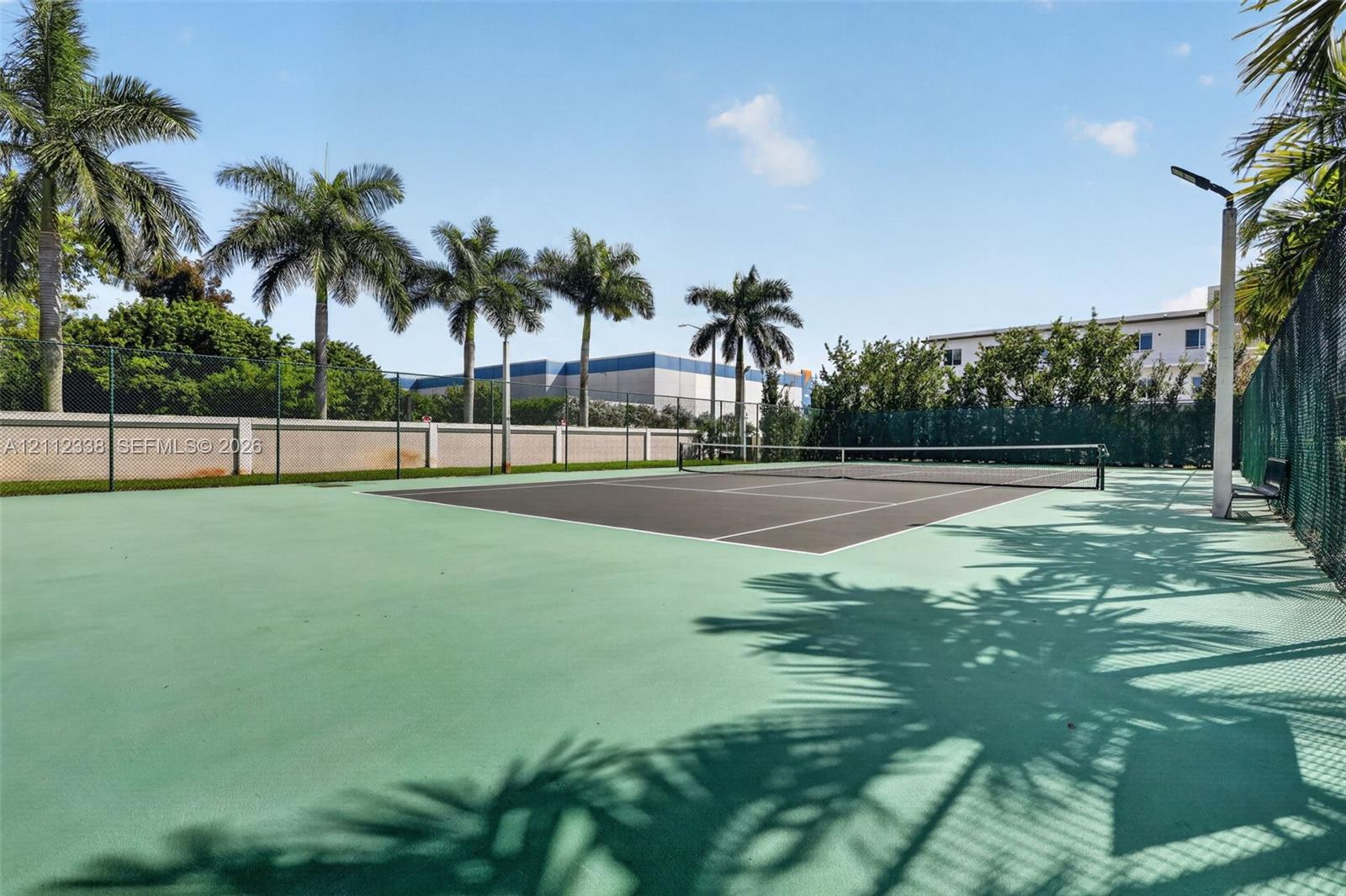 Tennis court with a high-contrast playing surface, enclosed by chain-link fencing, featuring overhead lighting and mature palm tree landscaping