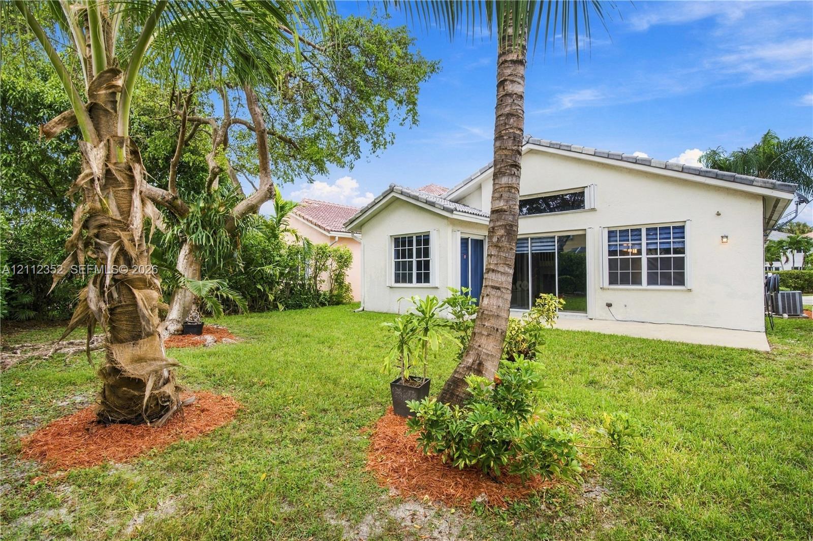 Rear exterior featuring stucco siding, multi-pane windows, sliding glass door, and mature palm trees