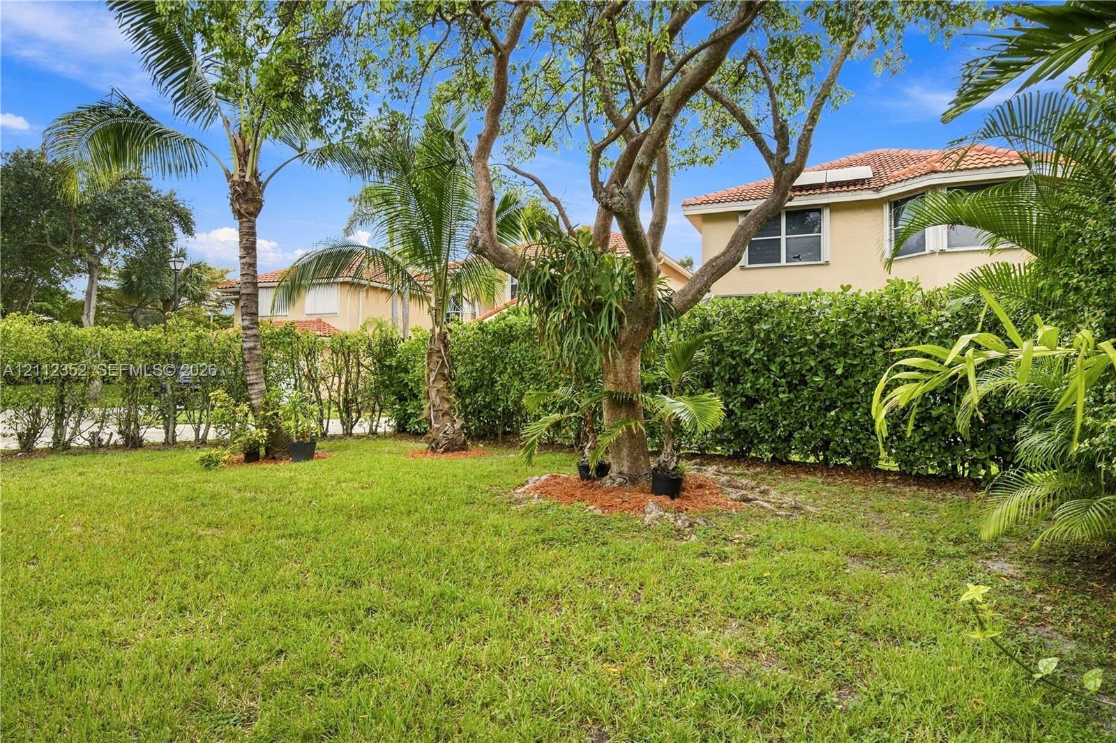 Private backyard featuring a manicured lawn, established landscaping, mature trees, and dense perimeter hedge privacy screening