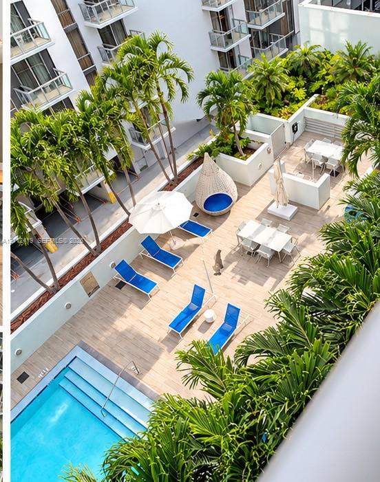 Outdoor deck featuring a swimming pool, wood-finish decking, concrete perimeter wall, and integrated palm tree landscaping