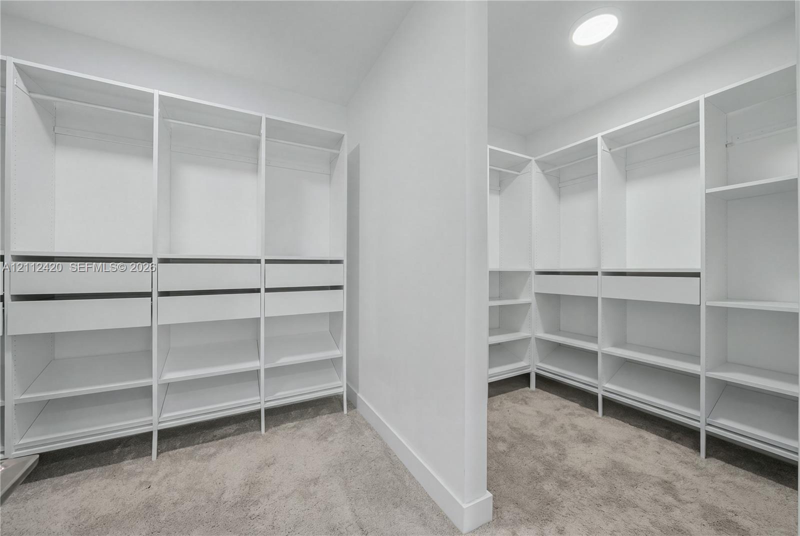 Walk-in closet featuring white built-in shelving, integrated hanging rods, multiple storage drawers, and neutral carpeting