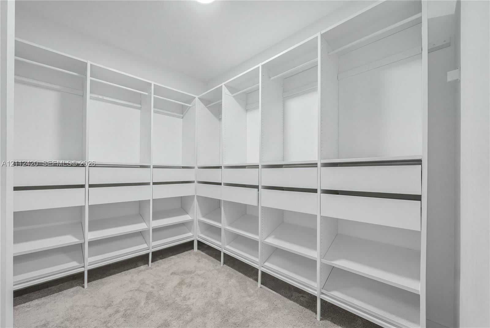 Walk-in closet featuring white built-in shelving, integrated hanging rods, and multi-level drawer storage with wall-to-wall carpeting