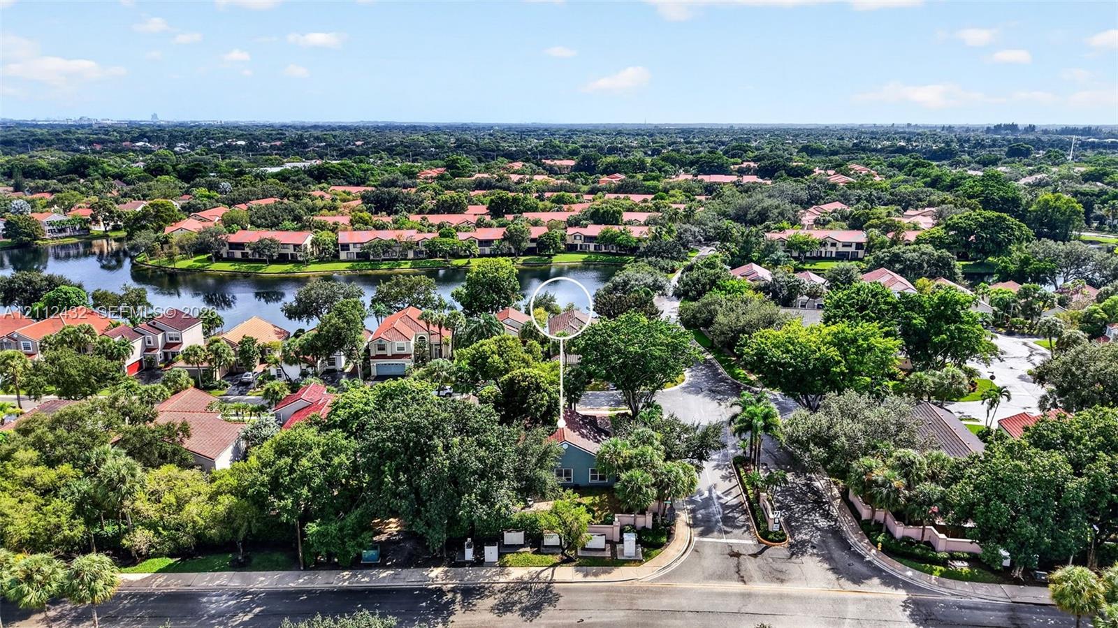 Aerial perspective of a residential community featuring a sprawling lake, established canopy trees, and paved street access