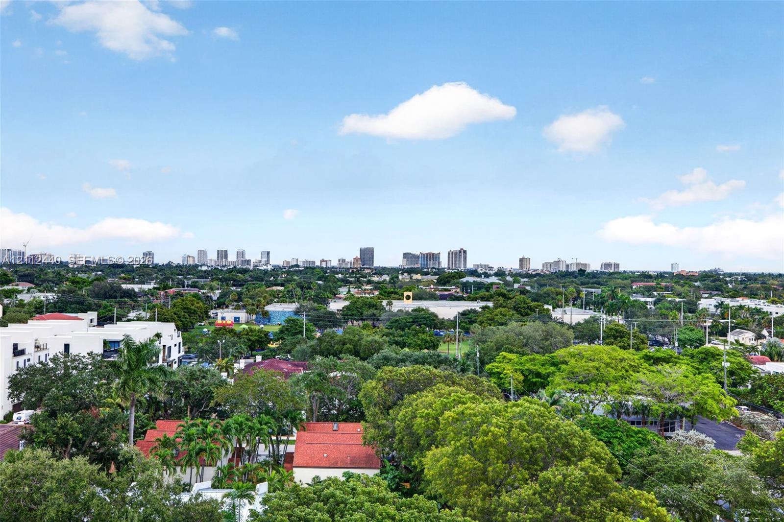 Panoramic skyline, mature tree canopy, and expansive horizon