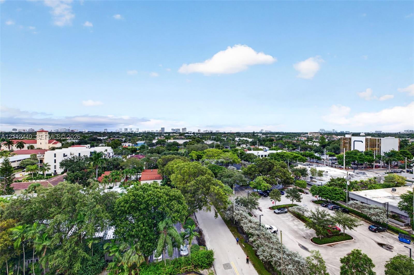 Elevated aerial perspective featuring a wide-reaching skyline, expansive tree canopy, and established surface parking