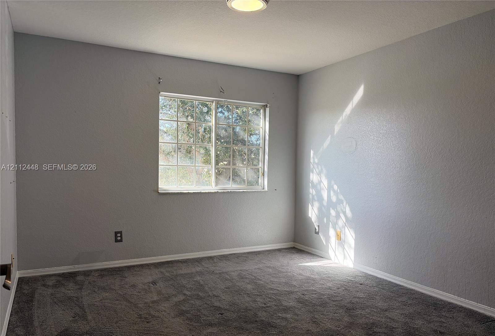 Room featuring wall-to-wall carpeting, a sliding grid-pattern window, and a ceiling-mounted light fixture