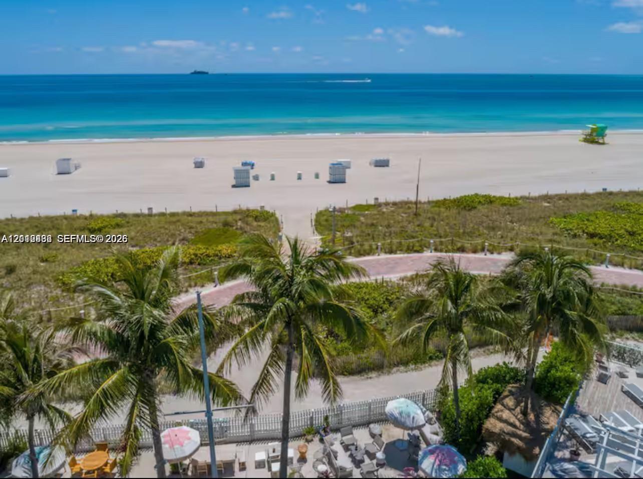 Direct oceanfront exposure featuring expansive sandy beach access, mature palm trees, lush dune landscaping, and a paved pedestrian pathway