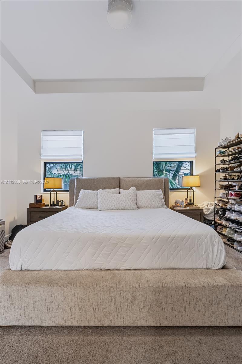 Tray ceiling, carpeted flooring, and dual windows with fitted Roman shades