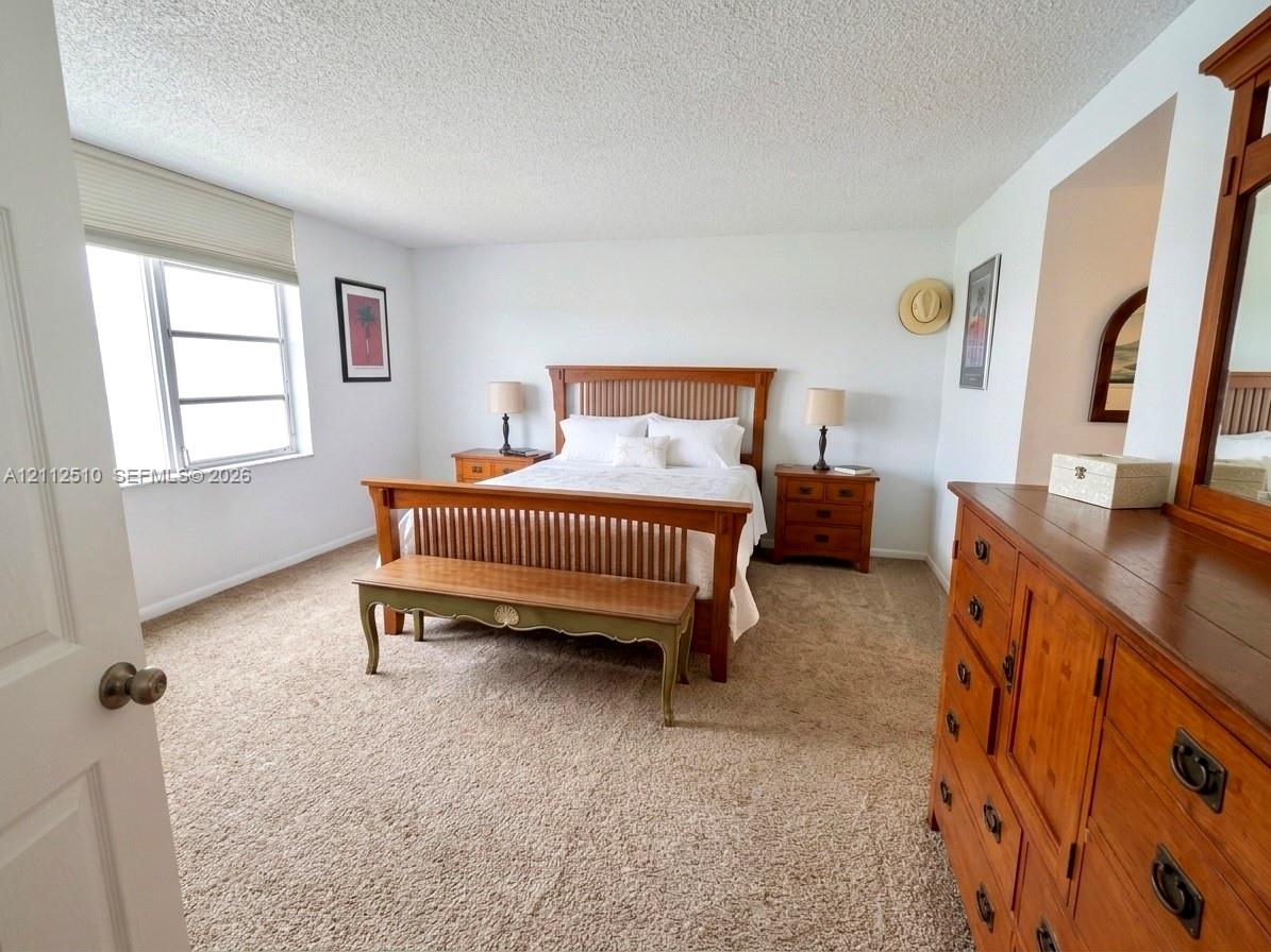 Neutral-toned carpeting, multi-pane window with custom shade, and textured ceiling