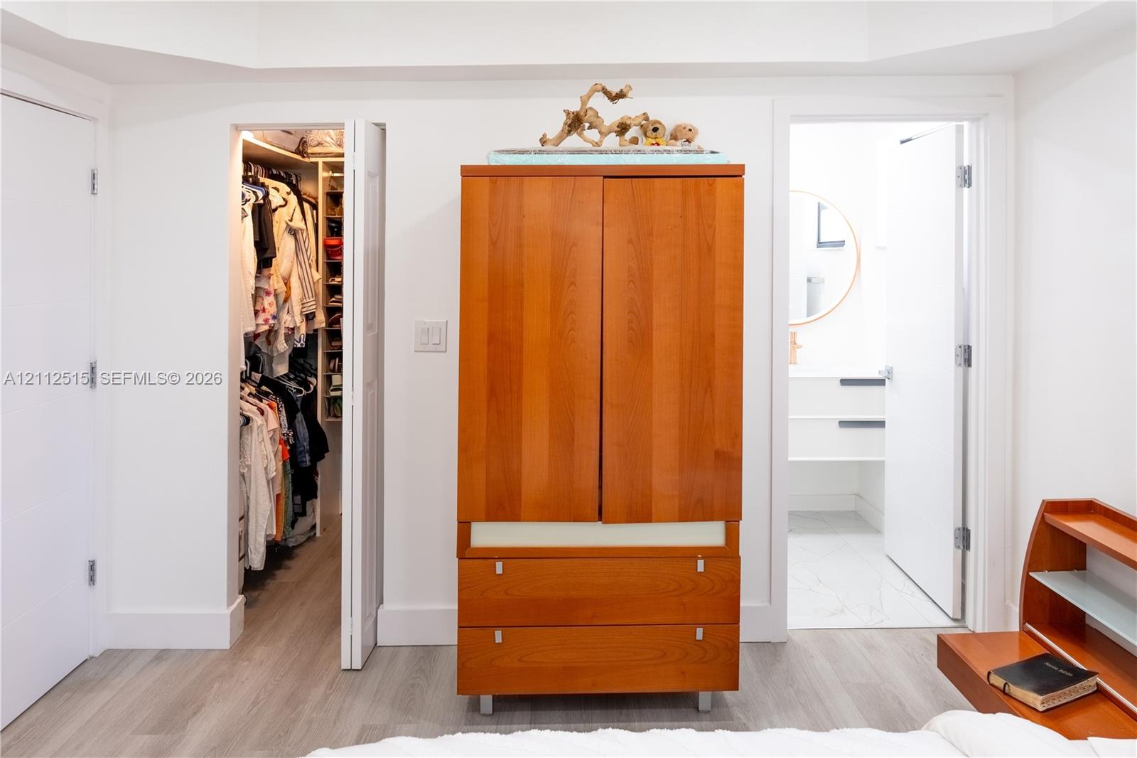 Walk-in closet with built-in shelving, wood-finish flooring, and tray ceiling