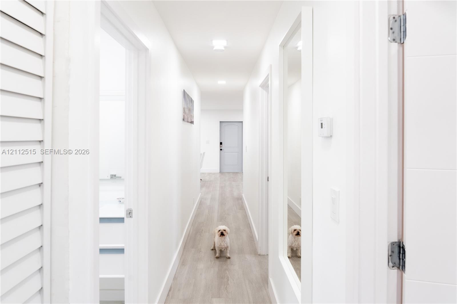 Hallway featuring light-toned wood-finish flooring, crisp white walls, flush-mount ceiling lighting, and a full-length wall-mounted mirror