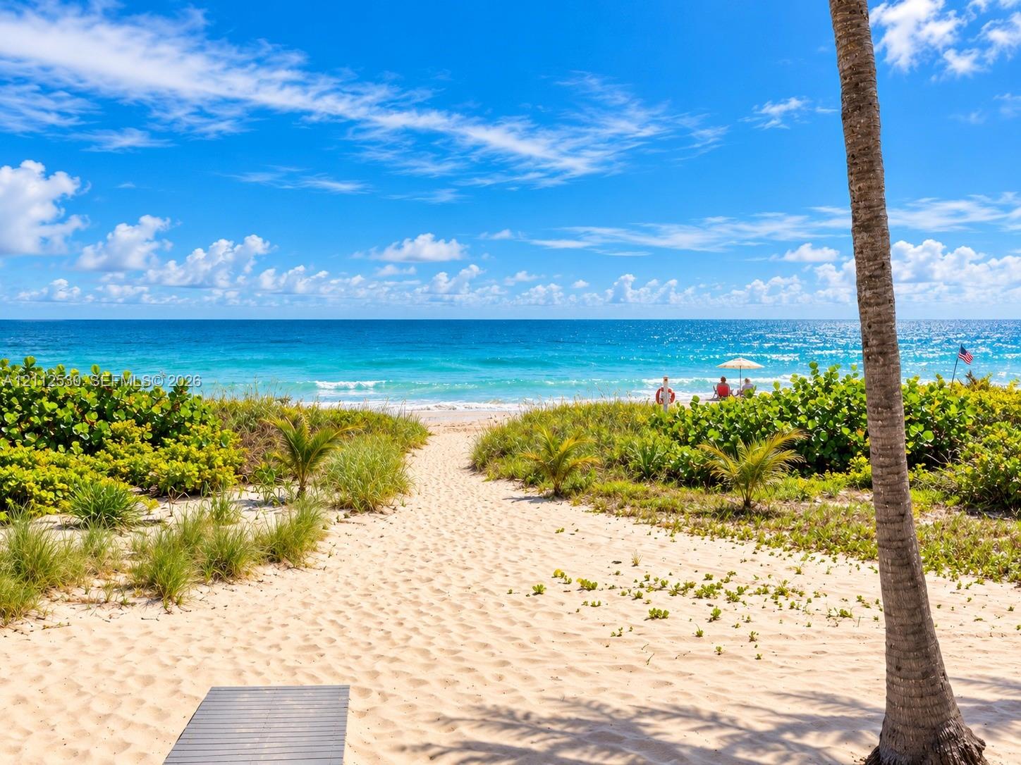 Private sand path featuring native coastal vegetation, tropical palm trees, and direct ocean access