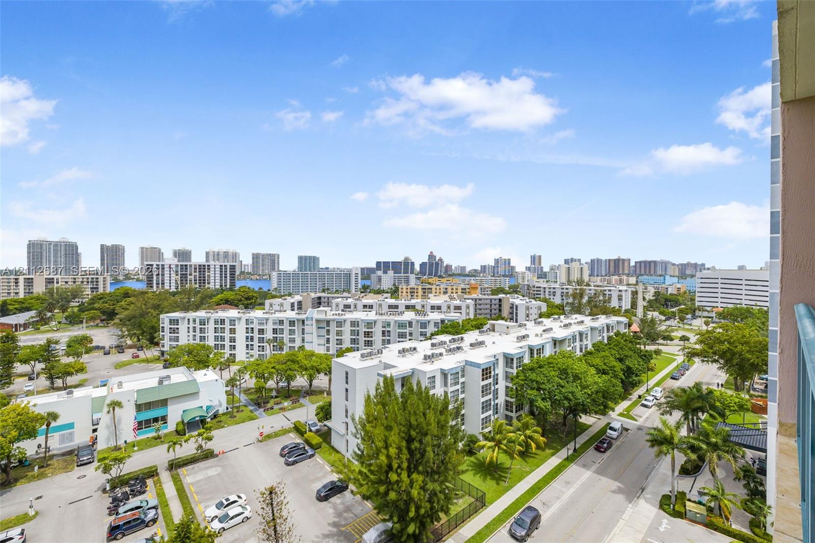 Elevated perspective featuring a panoramic urban skyline, high-rise architecture, and mature greenery
