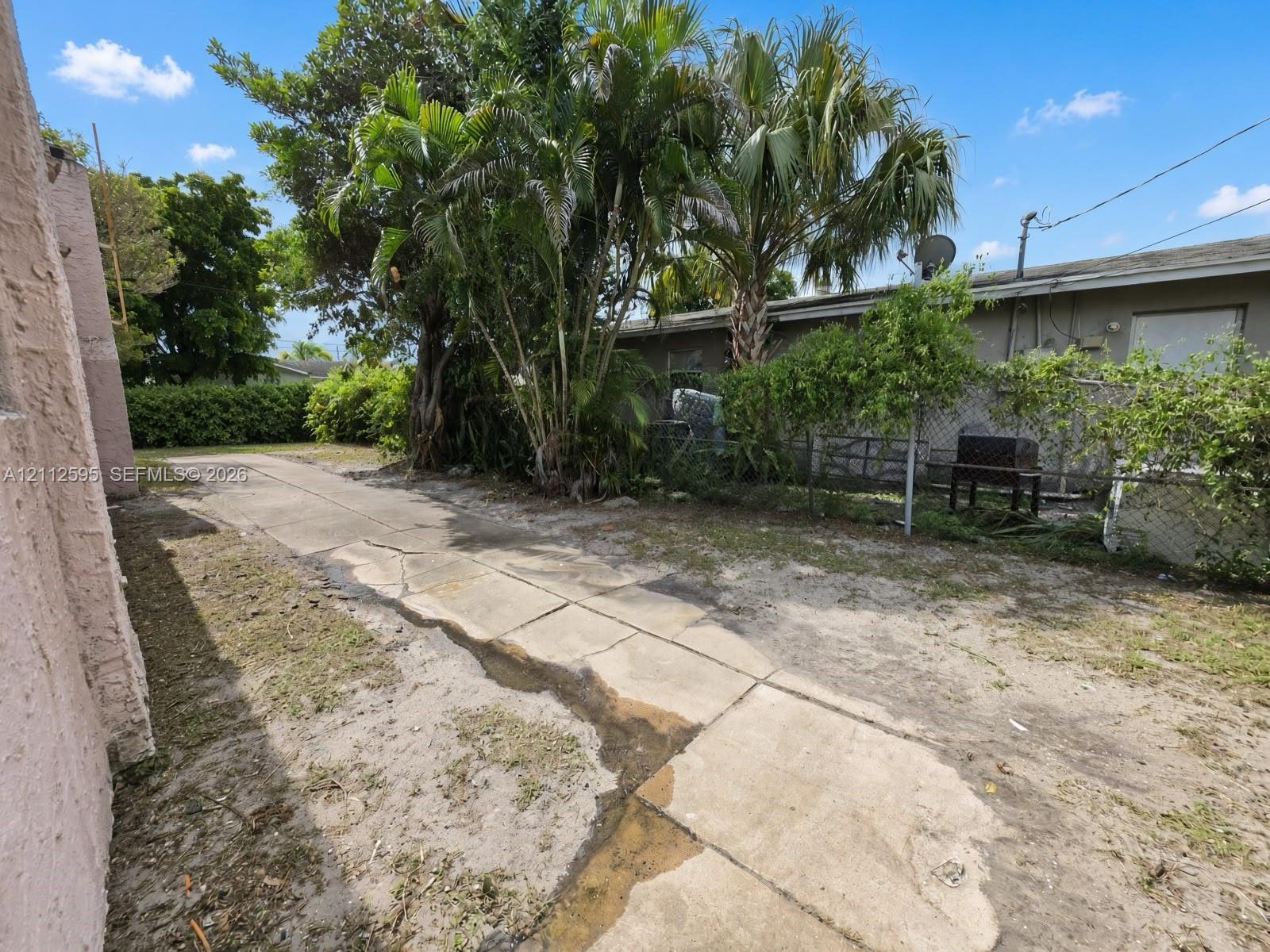 Side yard featuring a concrete path, perimeter chain-link fencing, and mature palm trees