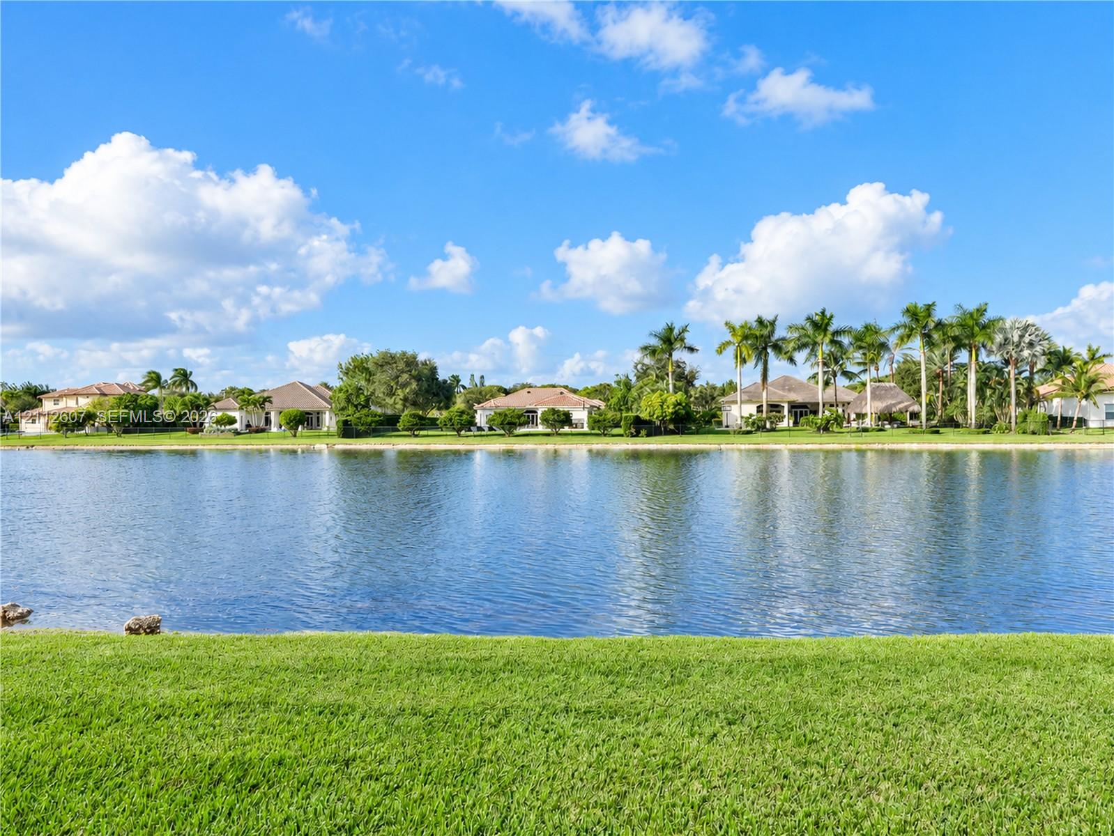 Waterfront setting with a manicured lawn and mature palm trees