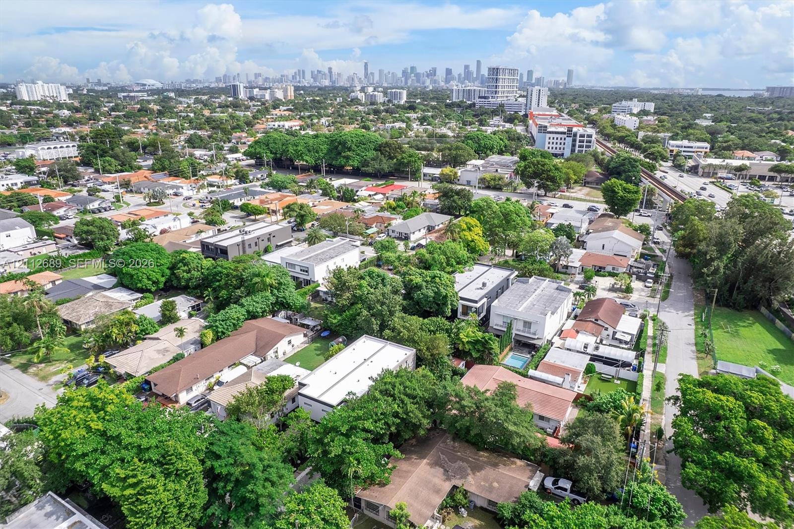 Aerial perspective of a suburban neighborhood featuring mature canopy trees, dense residential landscaping, and a distant cityscape horizon