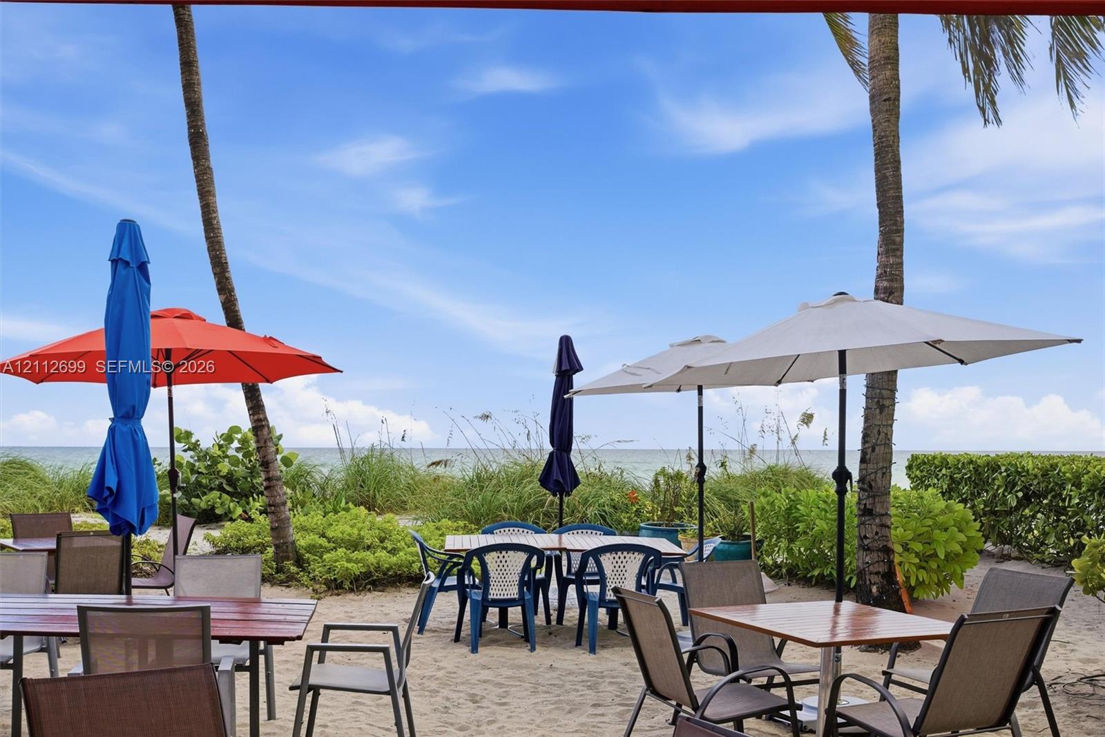 Sandy beachfront patio featuring mature palm trees, native coastal vegetation, and direct access to the oceanfront