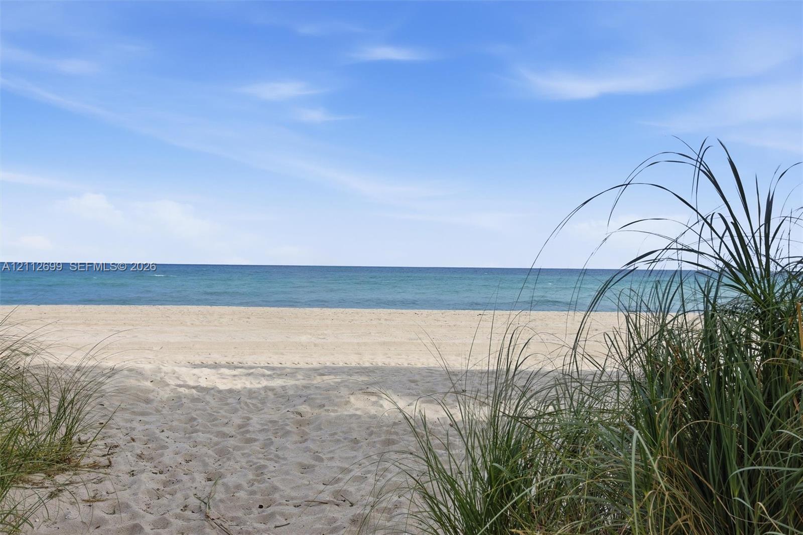Sandy beachfront featuring native grasses and direct access to the ocean