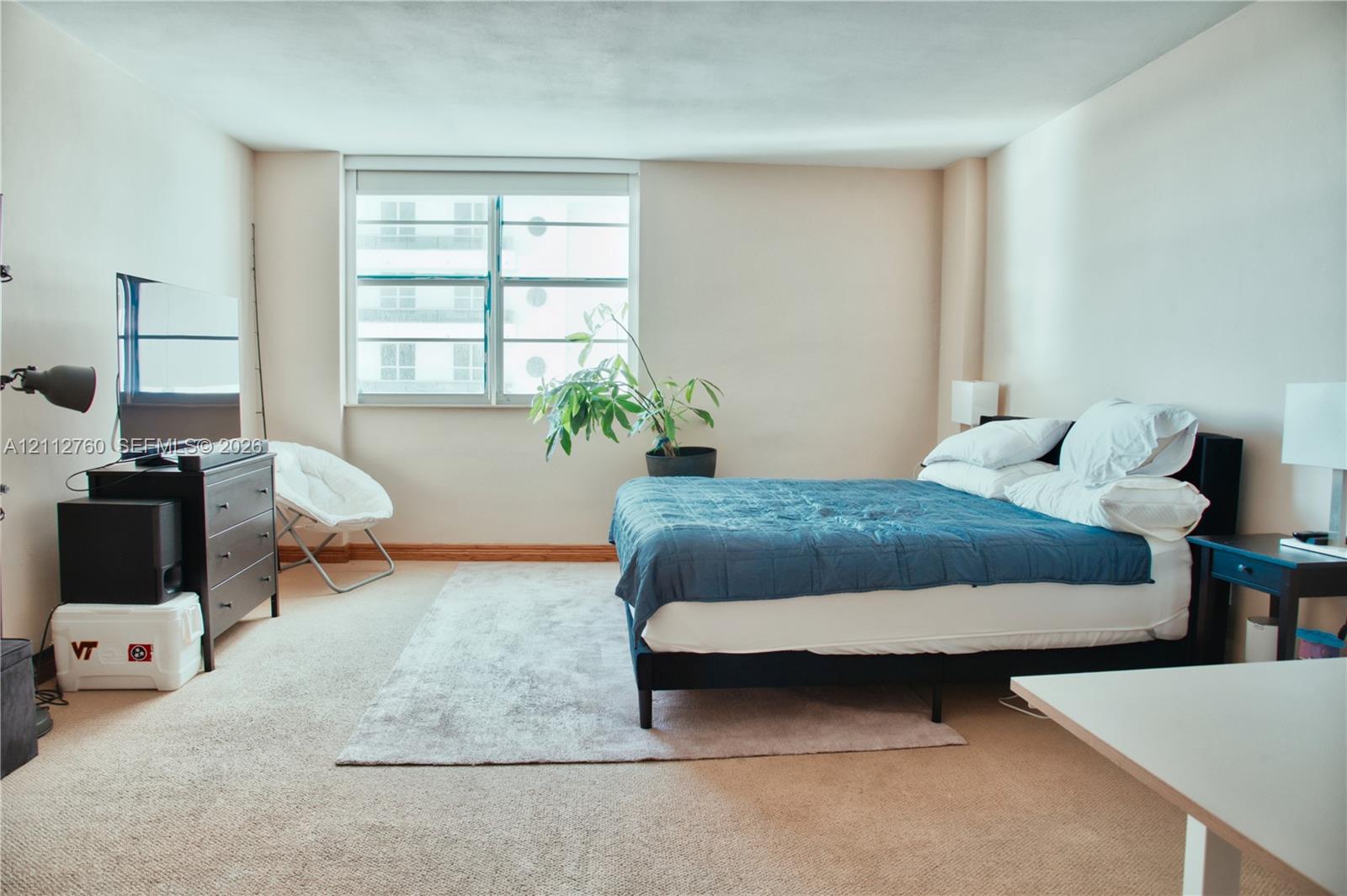 Expansive room featuring wall-to-wall carpeting and a large multi-pane window with natural lighting