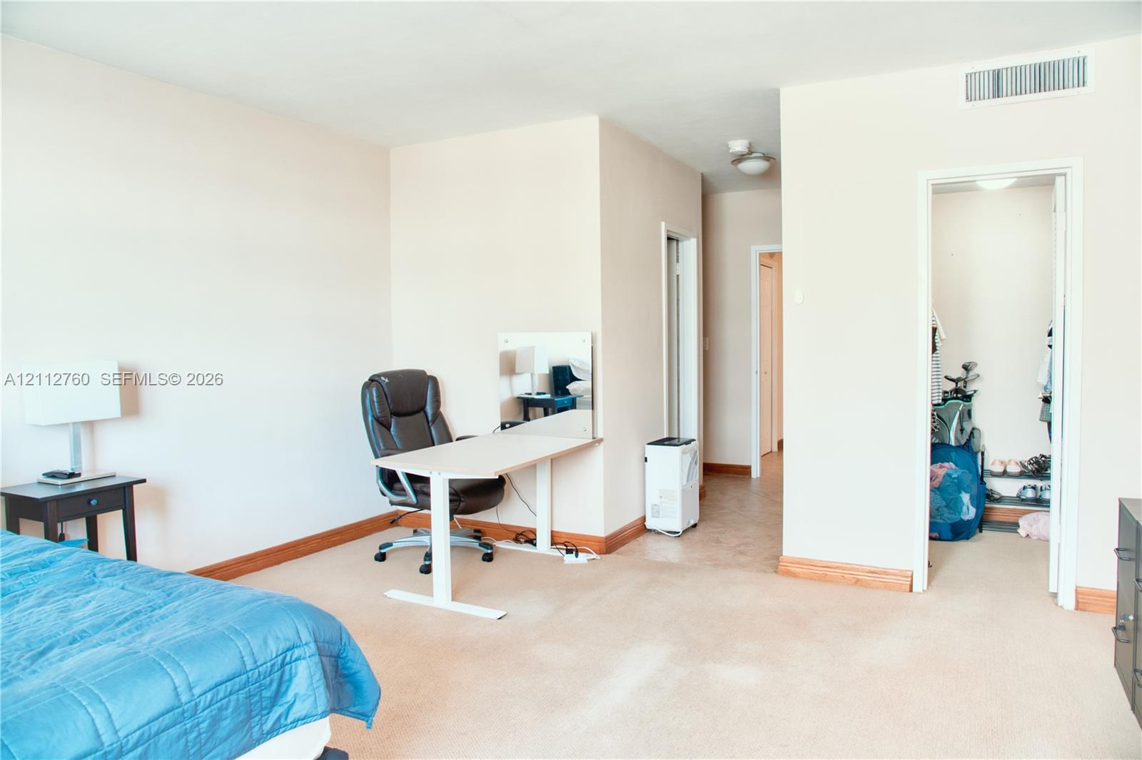 Neutral-toned interior space with wall-to-wall carpeting, wood trim, and a walk-in closet