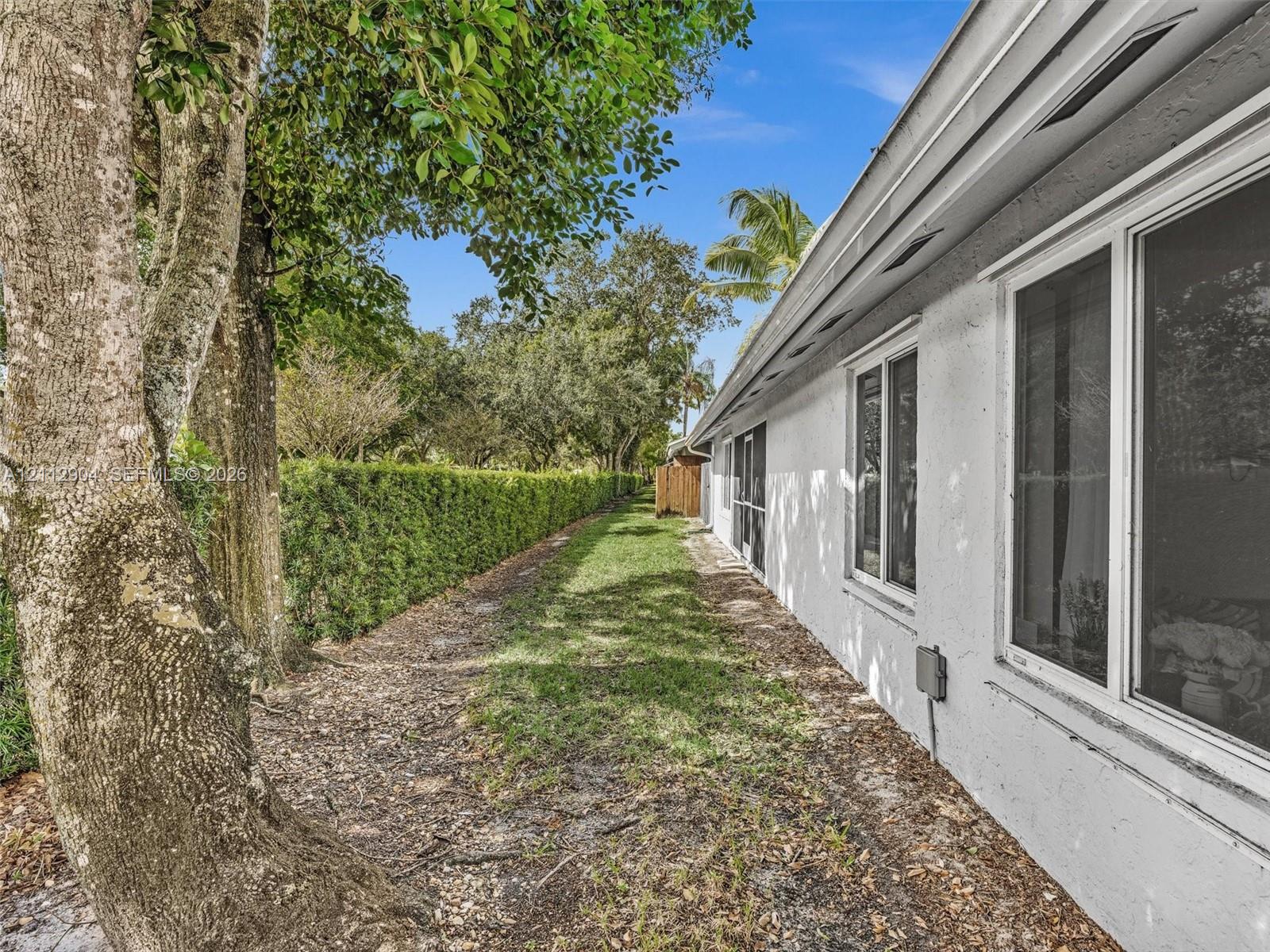 Stucco exterior wall with white finish, horizontal sliding windows, and a landscaped side yard featuring a mature tree and a privacy hedge