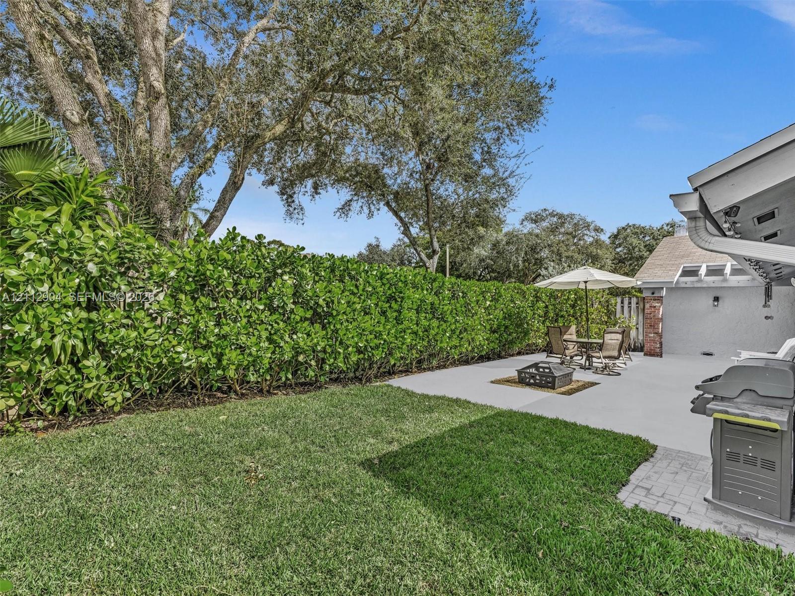 Backyard featuring a paved patio, a grass lawn, and mature perimeter hedging