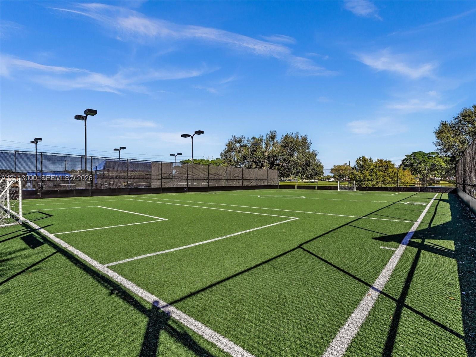 Private sports court featuring synthetic turf, perimeter fencing, and integrated stadium-style lighting
