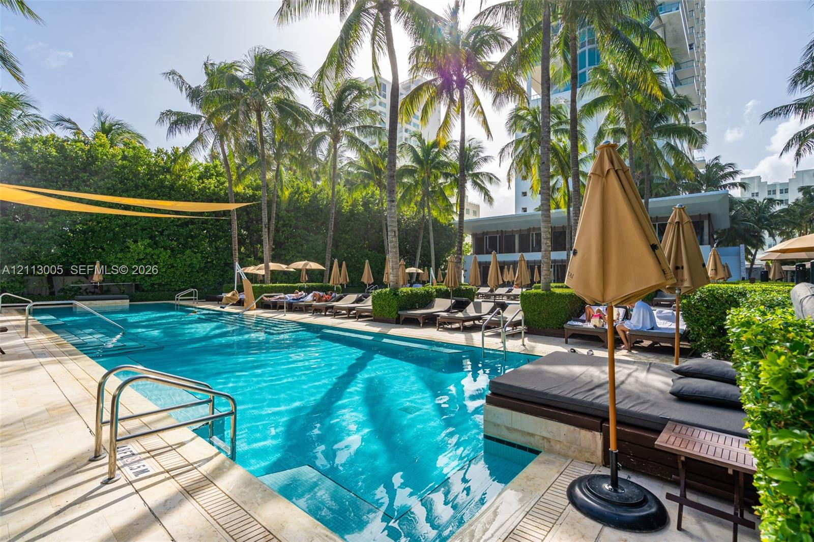 Rectangular swimming pool featuring stone surround, integrated steps, metal handrails, and surrounding mature palm trees with manicured hedges