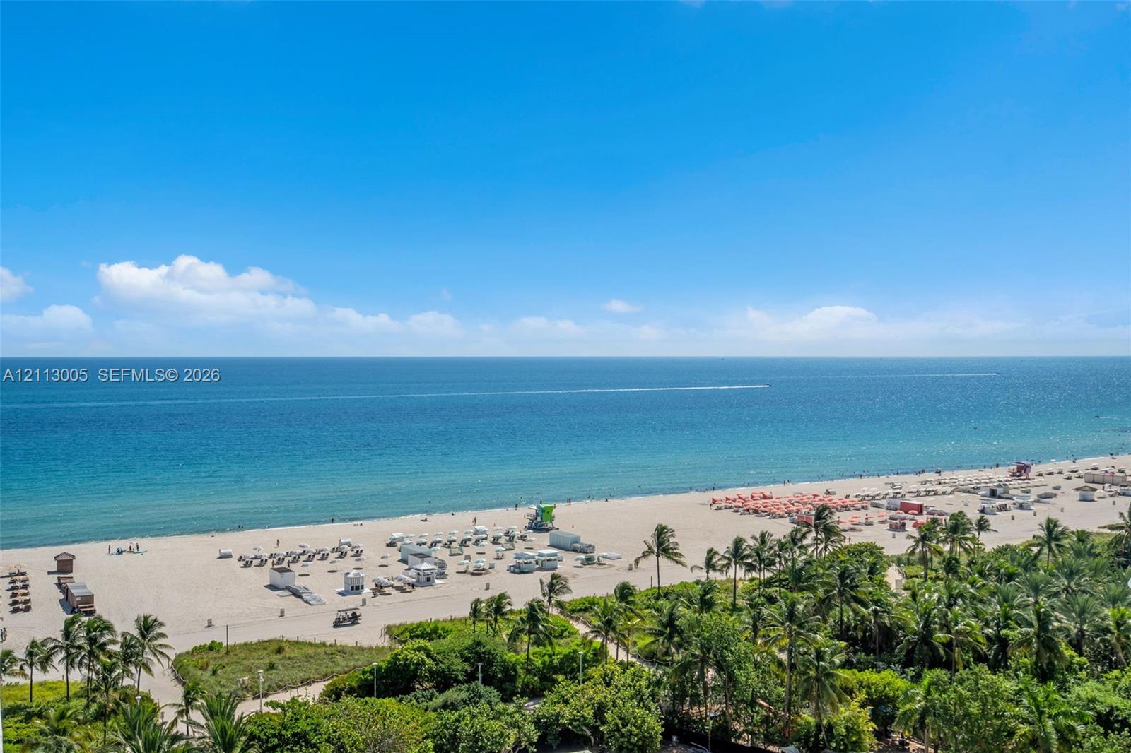 Panoramic coastal scenery featuring a direct ocean horizon and expansive sandy shoreline, bordered by dense tropical palm foliage