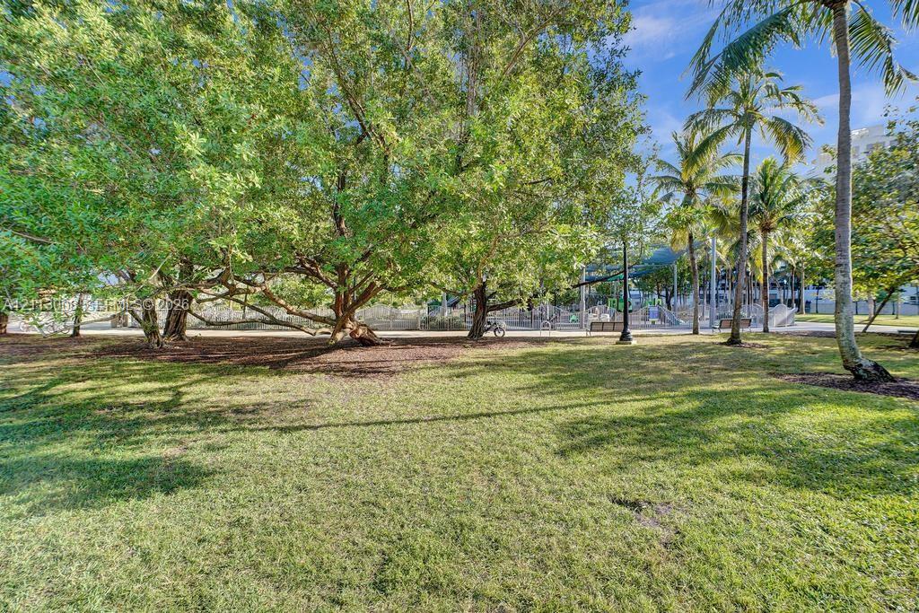 Expansive lawn area featuring mature specimen trees and established palm trees