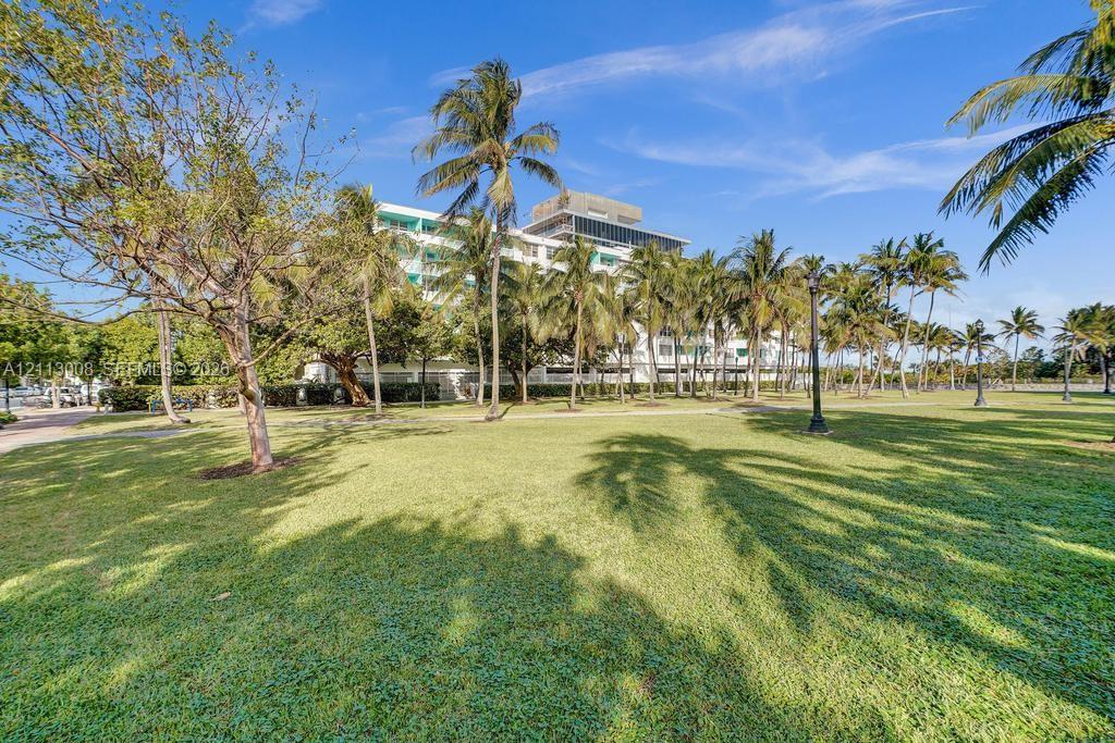 Expansive grounds featuring a manicured lawn, mature palm trees, and structural lighting