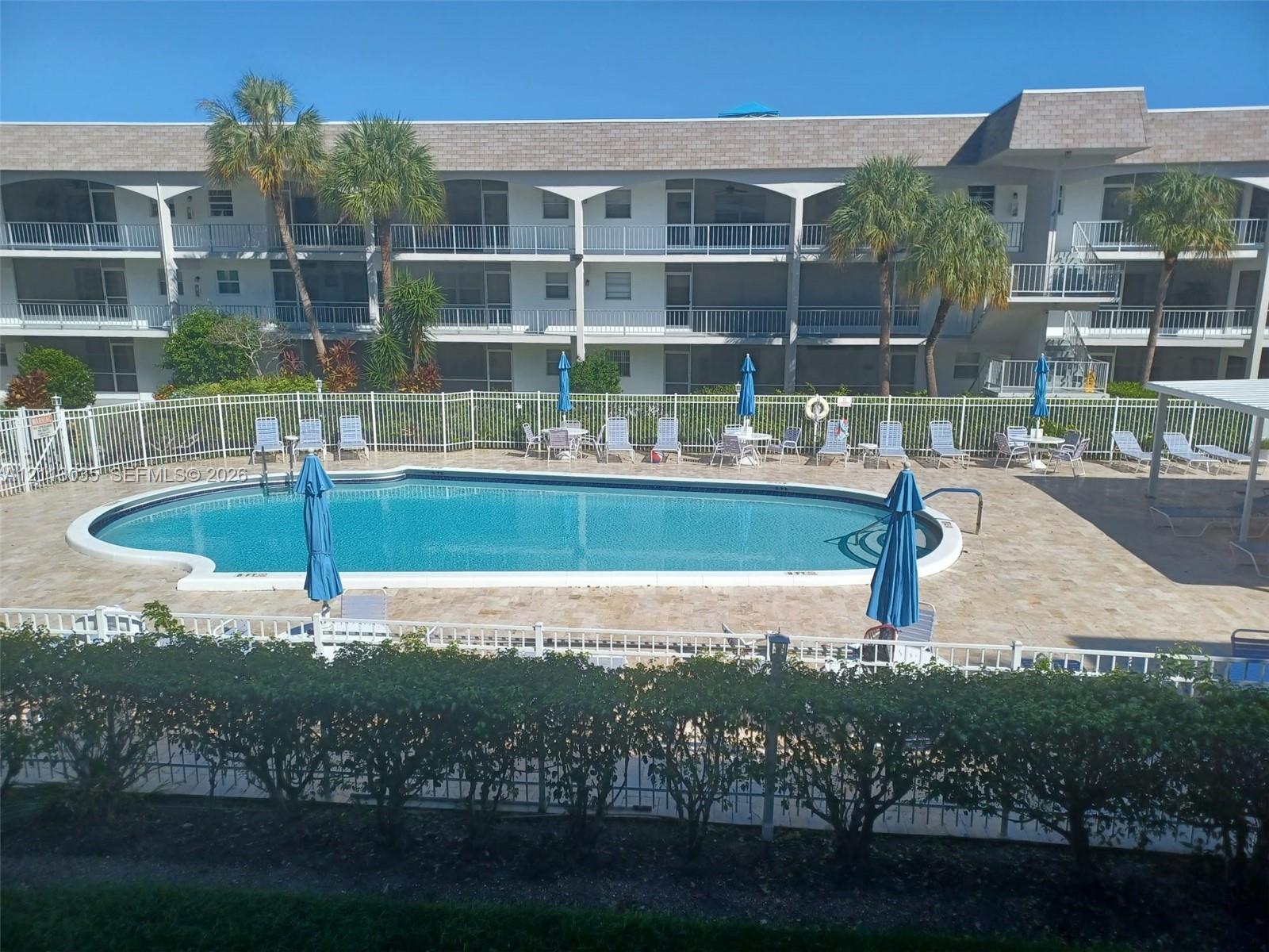 Swimming pool with paver decking, white perimeter fencing, and mature palm trees