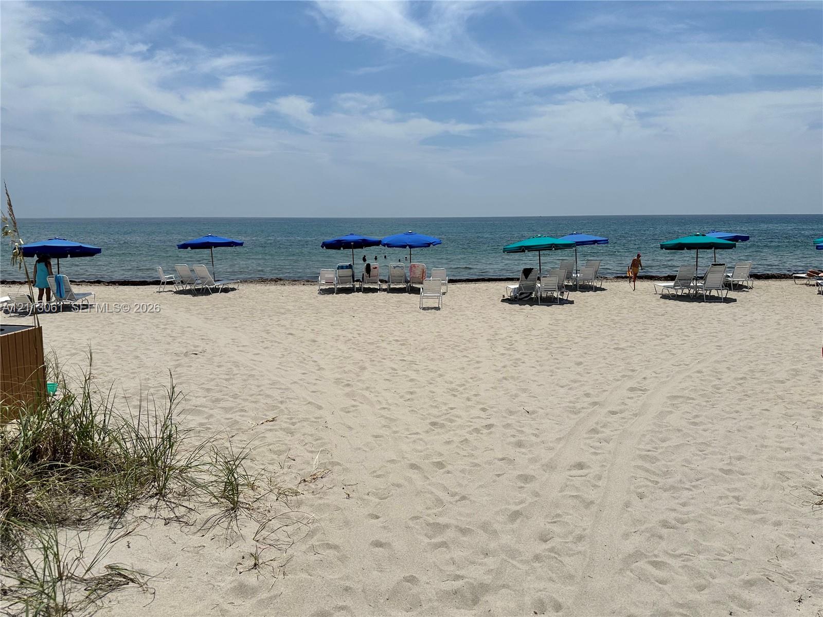 Sandy beach frontage featuring native dune grasses and direct access to the ocean
