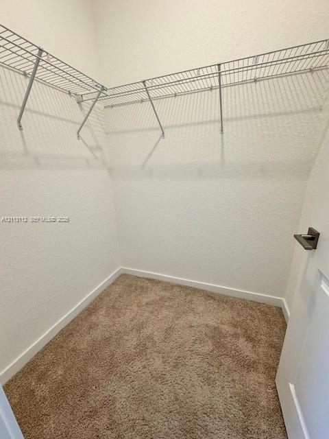 Interior space featuring neutral-toned carpeting, two sets of panel doors with metallic hardware, a single geometric pendant light fixture, and a window with horizontal blinds