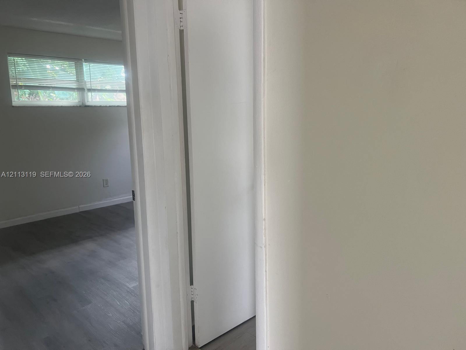 Interior featuring neutral wall paint, wood-finish flooring, and a hinged door with a matte finish