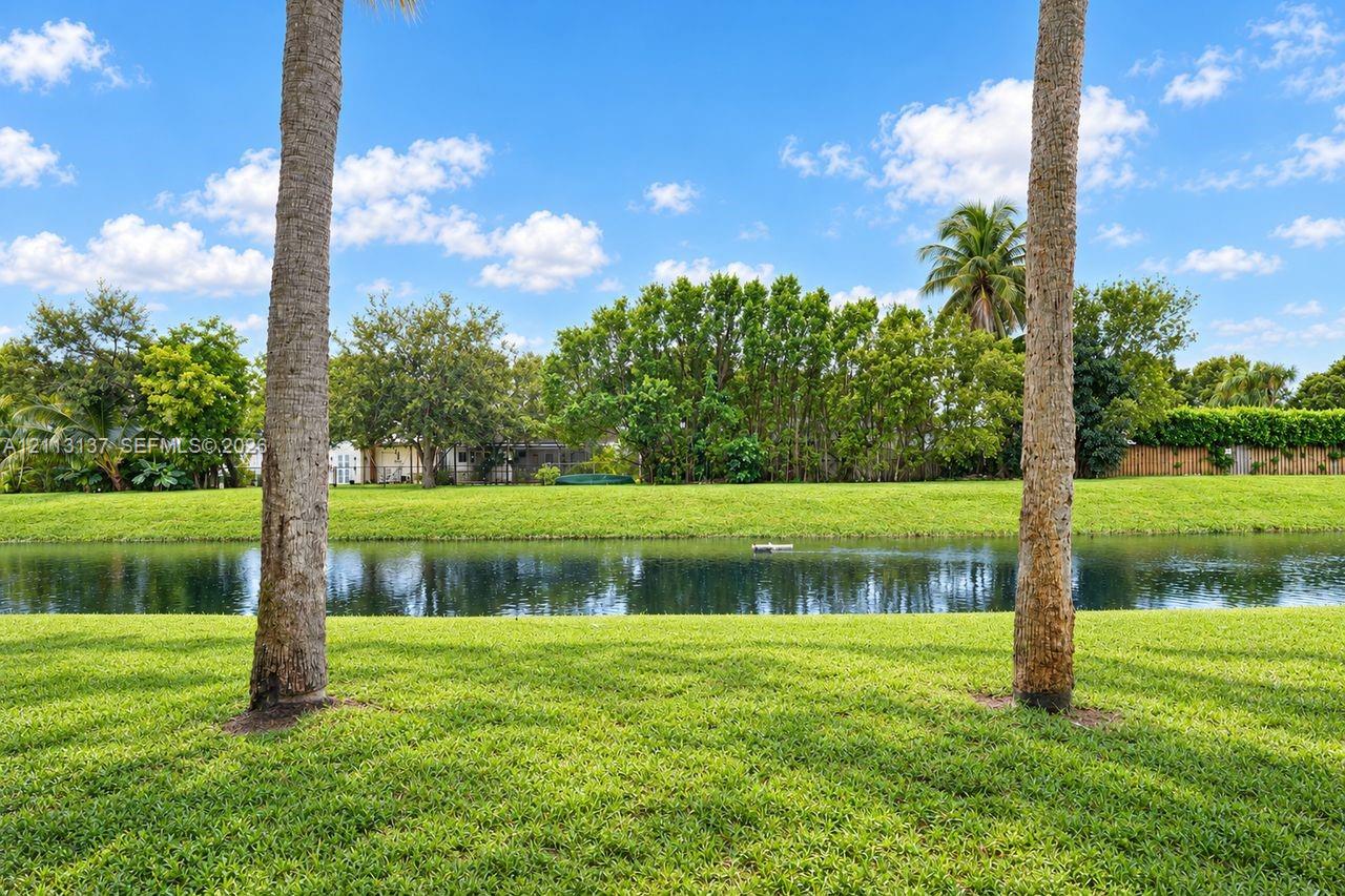 Waterfront backyard featuring a manicured lawn, palm trees, and mature landscaping