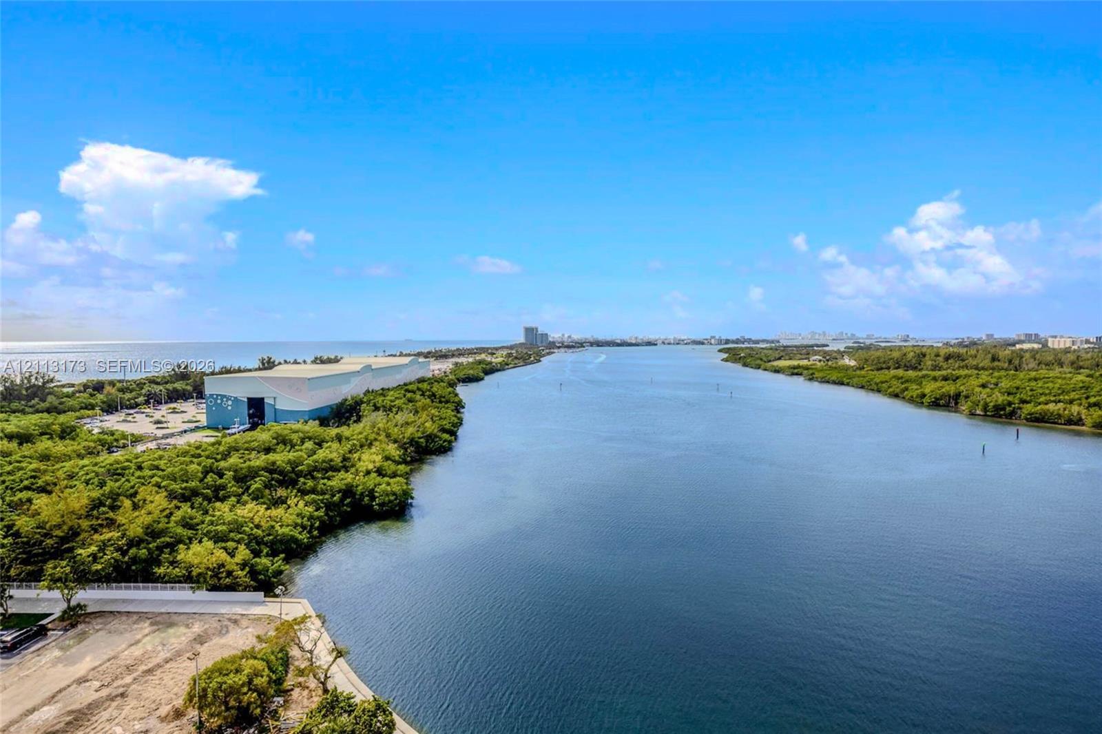Aerial perspective featuring expansive open water, dense coastal vegetation, and a wide horizon