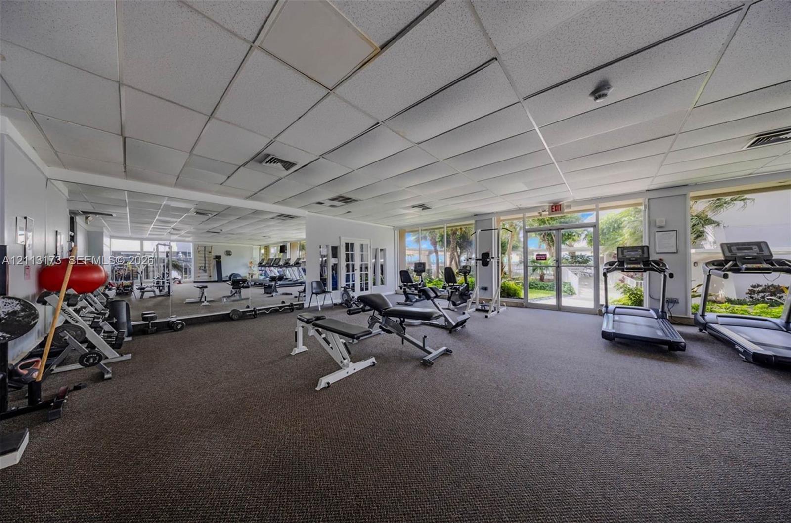 Fitness center featuring wall-to-wall mirrors, recessed drop-ceiling grid, carpeted flooring, and floor-to-ceiling windows with external landscape access
