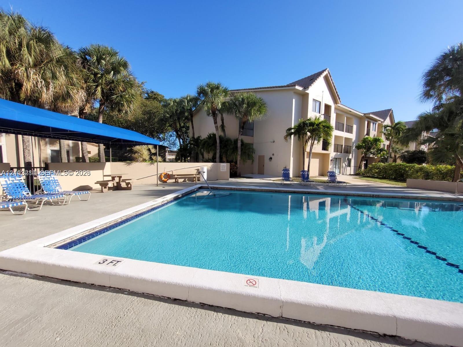 Swimming pool with a paved deck, shaded poolside area, and mature palm trees