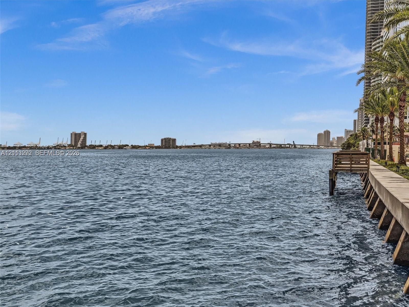 Waterfront setting featuring a concrete seawall, wooden dock, and palm trees