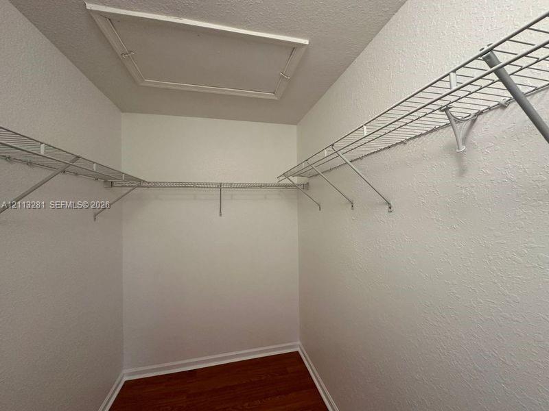 Walk-in closet featuring white walls, wood-finish flooring, and tiered wire shelving