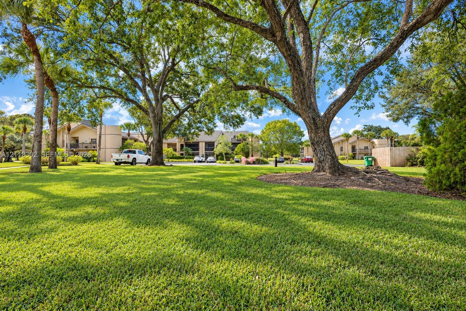 Expansive lawn area featuring mature hardwood trees and palm trees