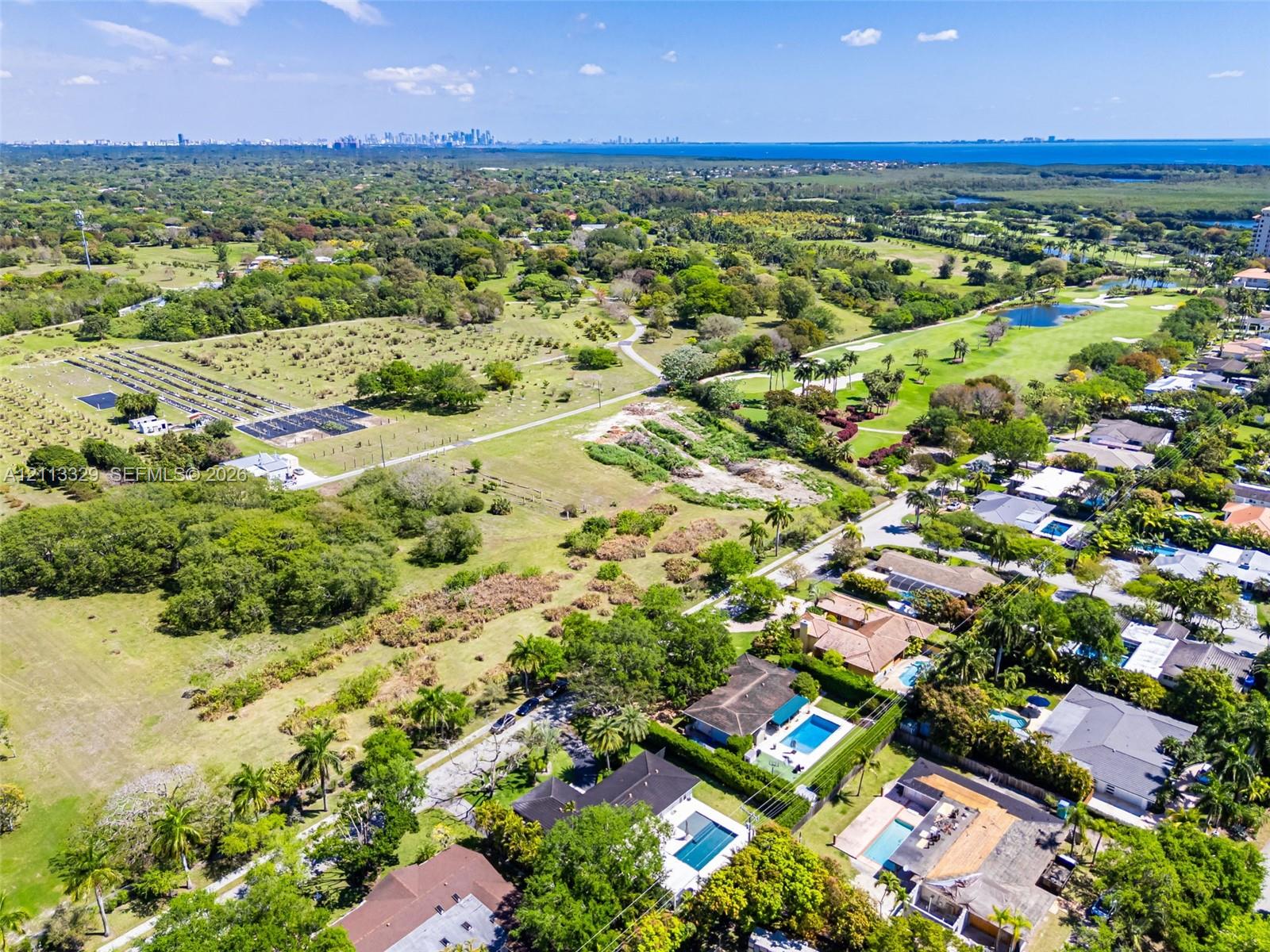 Aerial perspective of a residential neighborhood featuring expansive green space, mature canopy trees, water features, and a distant cityscape skyline