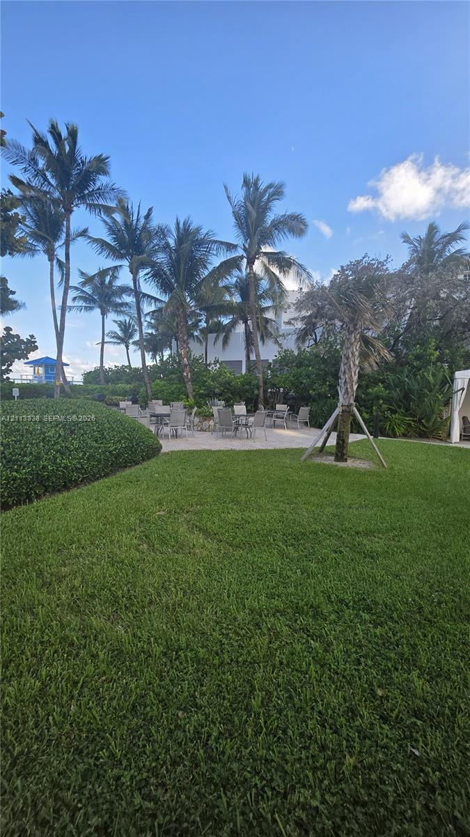 Expansive lawn featuring mature palm trees, manicured hedging, and a paved patio area
