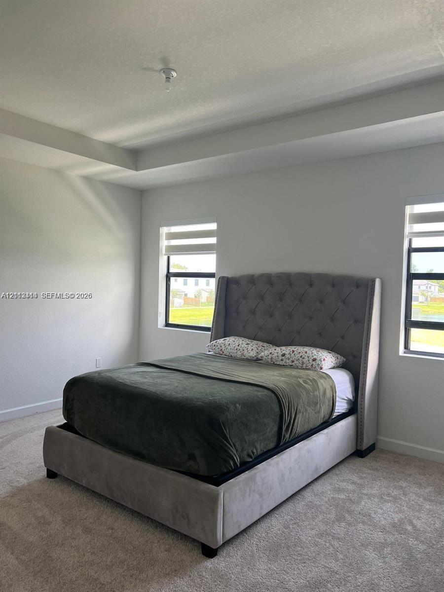Tray ceiling, neutral carpeting, and multi-paned windows with black frames