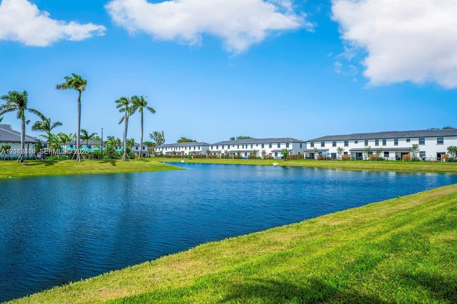 Waterfront landscape featuring a pond, manicured turf, and mature palm trees